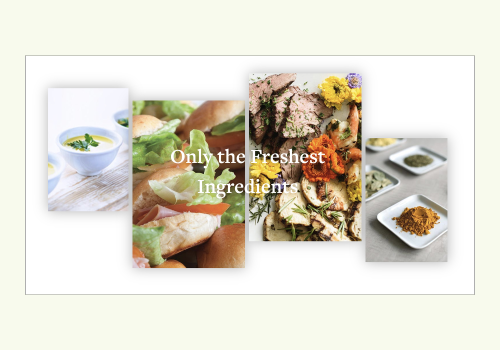 Northern VA Web Design
