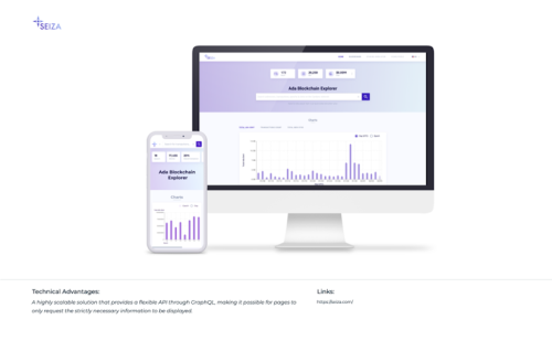 Seiza Blockchain Explorer