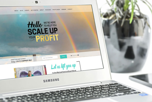 Ecommerce Development