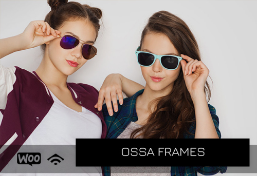 OSSA FRAMES