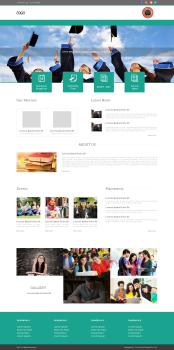 College Website