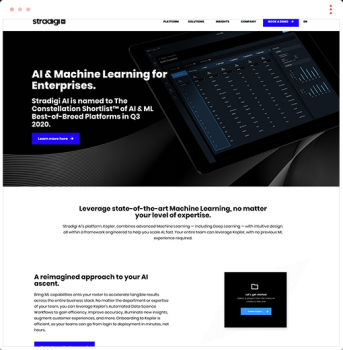 STRADIGI AI WEB DEVELOPMENT
