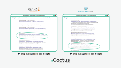 Local SEO Success Stories