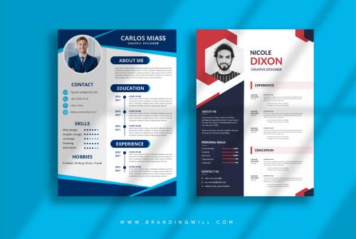 Professional Resume Design | Brandingwill