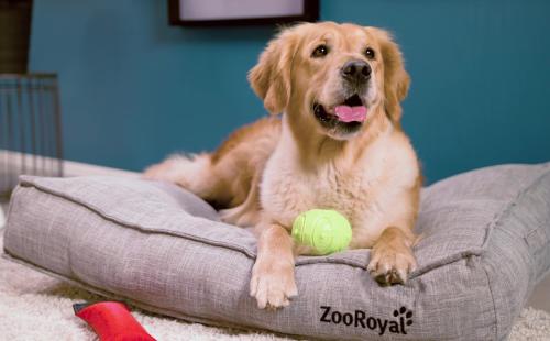 ZooRoyal Hub-Content Format