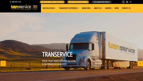 Transervice (Logistic Solution)