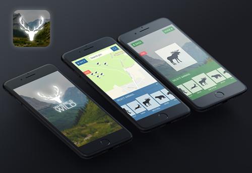 Wild Animal sighting and sharing application