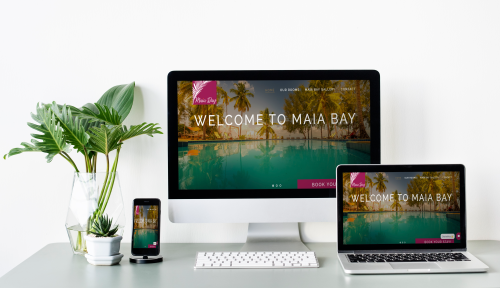 Website development