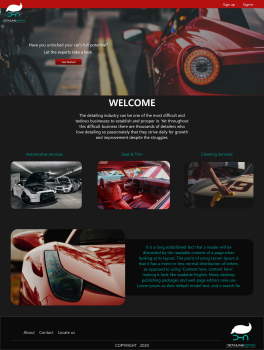 Auto Detailing Website