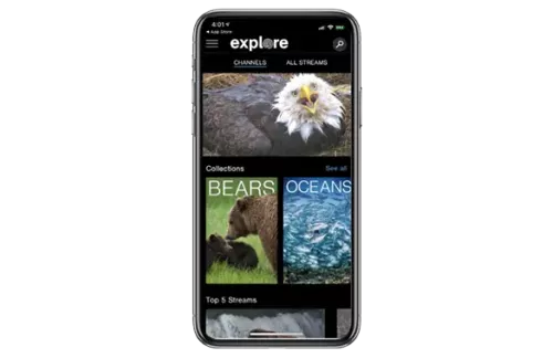 Explore.org Mobile Apps Redesign and Rebuild