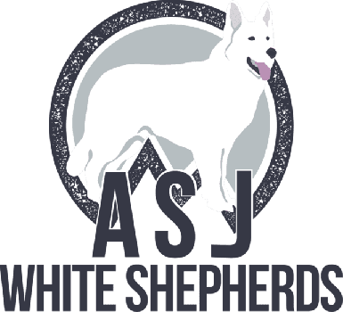 ASJ White Shepherds - Logo & Web Design