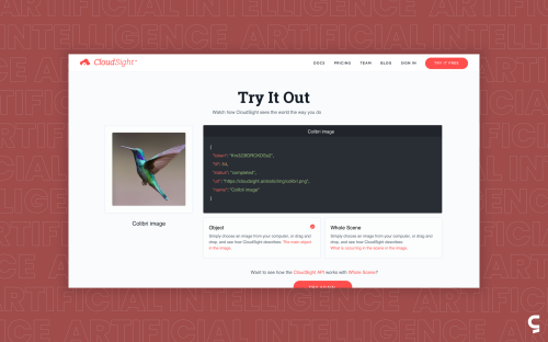 Cloudsight/Artificial Intelligence
