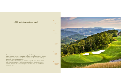 Mountain Air - vision collateral