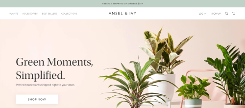 Migration from Magento to Shopify