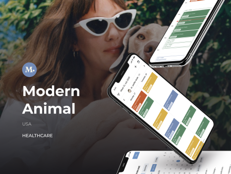 Modern Animal