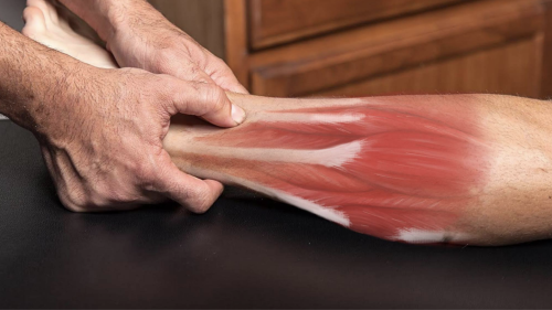Fascial Integrative Treatment Inc.