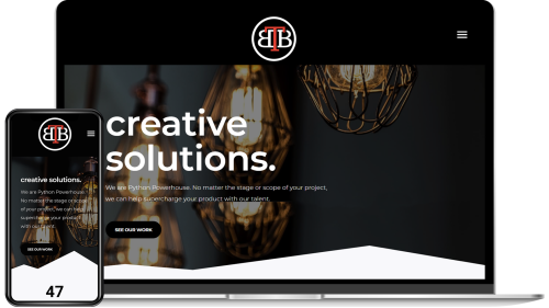 Website Designing