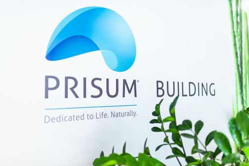 Corporate Branding Prisum