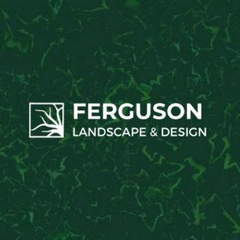 SEO Campaign: Ferguson Landscape & Design