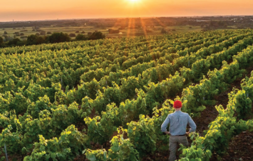PROJECT MANAGEMENT APPLICATION FOR AGRICULTURAL NGOS