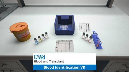 Blood Identification VR