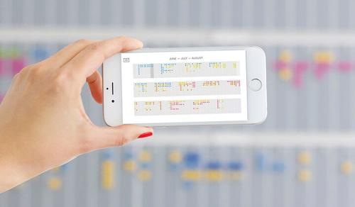 Digital-physical time planner