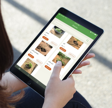 Al falasi farm - React Native