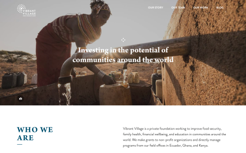 Vibrant Village Foundation