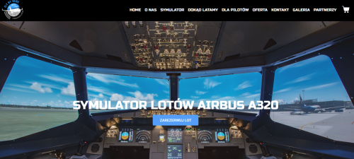 Flight simulator