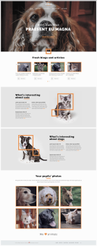 Pet Blog website Design & Development