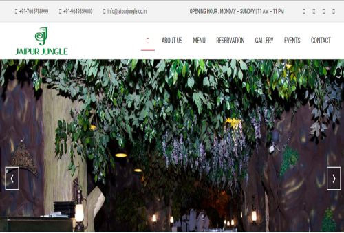 Jaipur Jungle