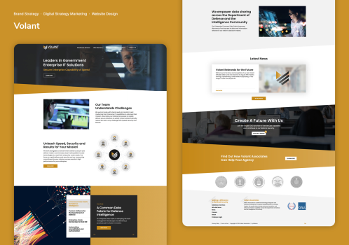 Business To Government Success