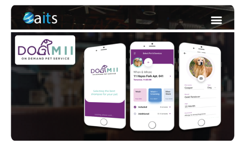 Dogmii (Pet Service)