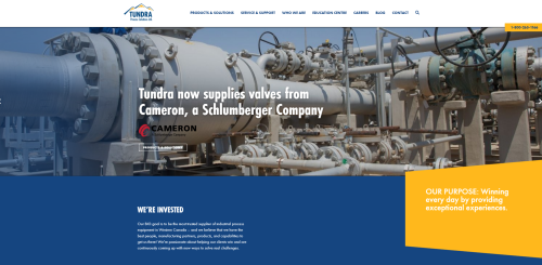 Website Design & Development