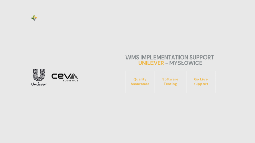 WMS Implementation Support