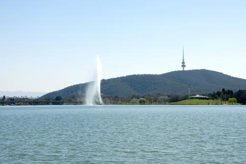 216% increase in reach