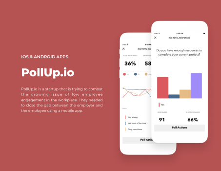 Example 4: PollUp.io