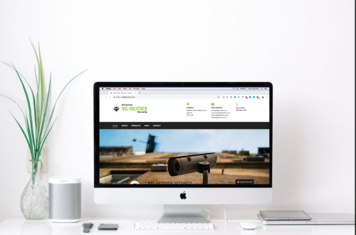 Big Brother Security - Web Design