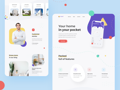 Home in your pocket landing web page design