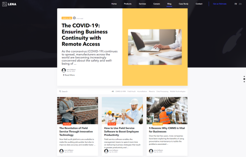 Lena Software - Blogging