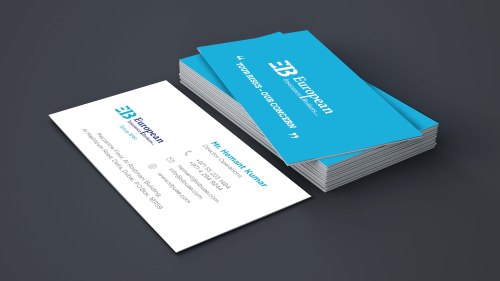 European Insurance Brokers - Branding