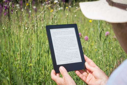 Poland: Understanding the Readers for Content Optimization