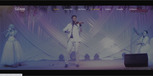 Website Development.