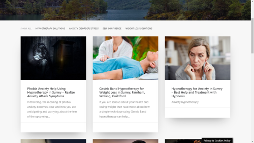 Website Redesign & Development for For Mind's Sake