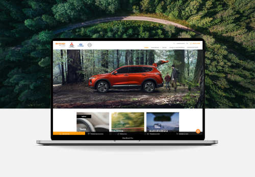 Skandi Motors Web Development