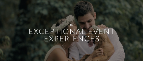 Wedding Venue Website Design