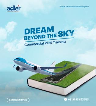 Branding & Web designing of Adler Aviation