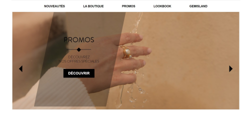 Exquisite eCommerce Website Development PrestaShop