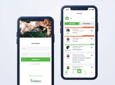 How We Created A Quality Branded Design Of A Mobile App For Felmo And Saved Time.