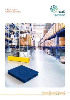 Taldeen SEO